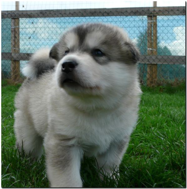 E Wurf 5 Woche 596.jpg